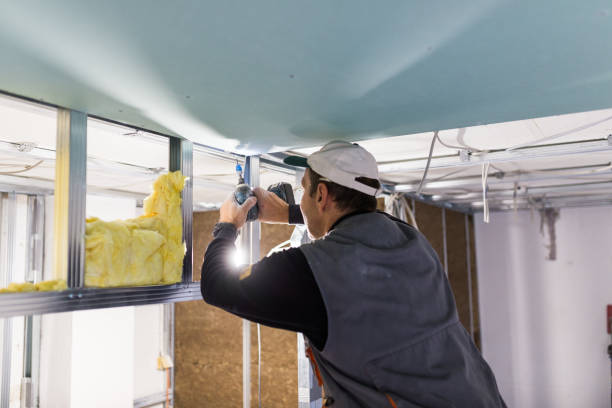 Best Wall Insulation Contractor  in USA